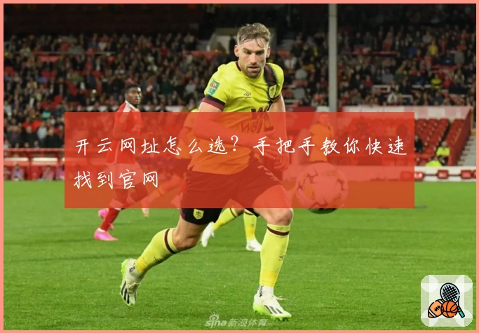 开云网址怎么选？手把手教你快速找到官网