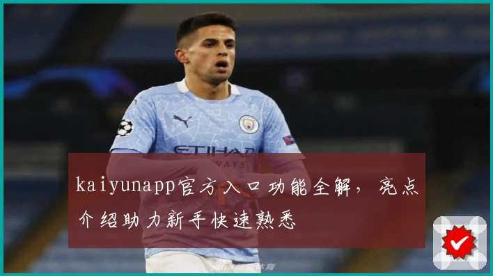 kaiyunapp官方入口功能全解，亮点介绍助力新手快速熟悉
